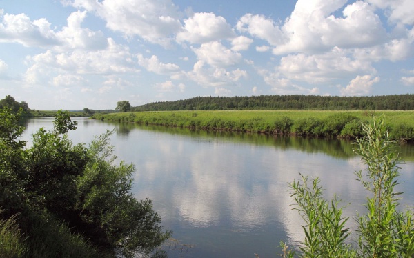 Пейзаж на реке Угра