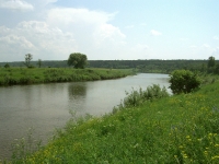 Река Угра летом